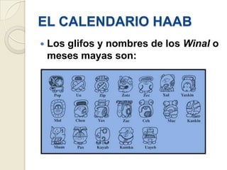 EL CALENDARIO HAABLos glifos y nombres de los Winal o meses mayas son: