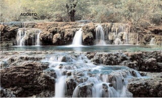 Calendarioproyect Layout 1