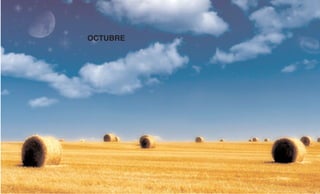 Calendarioproyect Layout 1