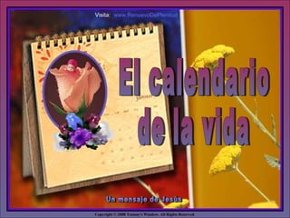 Copyright © 2008 Tommy's Window. All Rights Reserved
♫ Enciende los parlantes
HAZ CLIC PARA AVANZAR
Visita: www.RenuevoDePlenitud