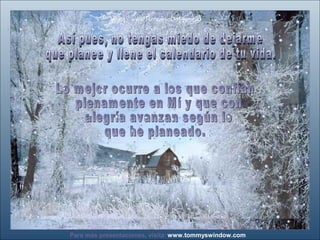 www.tommyswindow.comPara más presentaciones, visita:
Visita: www.RenuevoDePlenitud