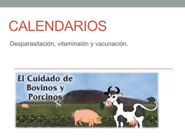Calendarios animales (bovinos, porcinos)  PPT