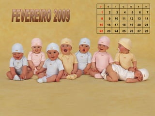 D    S    T       Q    Q    S    S


 1    2       3    4    5    6    7

 8    9   10      11   12   13   14

15   16   17      18   19   20   21

22   23   24      25   26   27   28
 