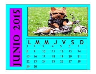 L M M J V S D1 2 3 4 5 6 7
8 9 10 11 12 13 14
15 16 17 18 19 20 21
22 23 24 25 26 27 28
29 30
junio2015
 