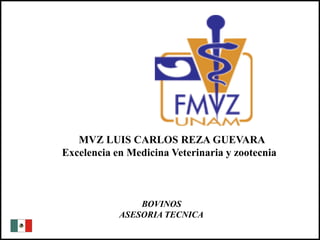 MVZ LUIS CARLOS REZA GUEVARA
             Excelencia en Medicina Veterinaria y zootecnia



                             BOVINOS
                         ASESORIA TECNICA
01/06/2009                                                    1
 