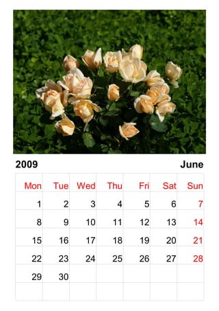 Calendar Roses