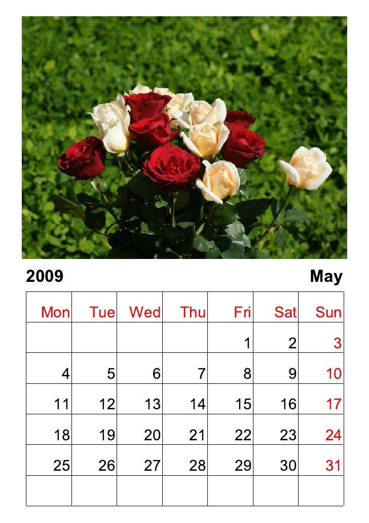 Calendar Roses