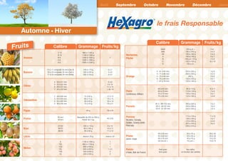 Ananas
C 12
B 10
B 9
A 8
A 6
900 à 1100 g
1100 à 1300 g
1300 à 1500 g
1500 à 1800 g
1800 à 2200 g
1
Banane
15 à 17 cm/grade 30 mm (Cat. II)
16 à 20 cm/grade 32 mm (Cat. I)
17 à 20 cm/grade 34 mm (Extra)
140 à 170 g
160 à 200 g
200 à 250 g
6 à 7
5 à 6
4 à 5
Citron
4 : 58 à 67 mm
5 : 53 à 62 mm
6 : 48 à 57 mm
7 : 45 à 52 mm
6 à 8
9 à 10
11 à 14
+ de 14
Clémentine
2 : 58 à 69 mm
3 : 54 à 64 mm
4 : 50 à 60 mm
5 : 46 à 56 mm
75 à 85 g
65 à 75 g
55 à 65 g
15 à 55 g
12 à 13
14 à 15
16 à 18
19 à 21
Figue 50 g 18 à 20
Fraise
25 mm
18 mm
Barquette de 250 ou 500 g
Panier de 2 kg
45 à 55
Kiwi
27/30
30/33
36/39
100 à 110 g
90 à 100 g
80 à 90 g
9 à 10
10 à 11
11 à 12
Litchi environ 20 g environ 50
Melon
9
12L
12Q
15L
15Q
18
1100 à 1300 g
950 à 1100 g
800 à 950 g
650 à 800 g
550 à 650 g
450 à 550 g
1
1
1
1 à 2
2
2
Nectarine,
Pêche
AAAA
AAA
AA
A
B
C
D
250 g et +
180 à 250 g
180 à 160 g
160 à 140 g
140 g à 120 g
120 à 100 g
100 g et -
4 et -
4 à 5
5 à 6
6 à 7
7 à 8
8 à 10
Orange
3 : 81 à 92 mm
4 : 77 à 88 mm
5 : 73 à 84 mm
6 : 70 à 80 mm
7 : 67 à 76 mm
250 à 350 g
200 à 250 g
200 g
150 à 200 g
150 à 180 g
3 à 6
4 à 5
5 à 6
6 à 7
7 à 8
Poire
Conférence, William
60 à 65 mm
65 à 70 mm
70 à 75 mm
75 à 80 mm
90 à 110 g
110 à 130 g
130 à 150 g
150 à 180 g
9 à 11
7 à 9
6 à 7
5 à 6
Pomelo
45-4 : 88-102 mm
50-5 : 84-97 mm
55-6 : 81-93 mm
300 à 500 g
250 à 300 g
250 à 300 g
2 à 3
3 à 4
3 à 4
Pomme
Bicolore, Canada,
Golden, Granny smith,
Pink lady
115 à 135 g
136 à 165 g
170 à 200 g
201 à 240 g
230 à 270 g
7 à 10
5 à 7
5 à 6
4 à 5
Prune
jaune, rouge
28 à 35 mm
35 à 40 mm
40 à 55 mm
50 mm et +
30 à 35 g
35 à 40 g
40 à 70 g
70 g et +
28 à 35
25 à 28
14 à 25
10 à 14
Raisin
d’Italie, Noir de France
Petit grain
Gros grain
Non défini,
en fonction des variétés
Avril Mai Juin Juillet Août Septembre Octobre Novembre Décembre Janvi
Calibre
Calibre
Grammage
Grammage
Fruits/kg
Fruits/kg
®
le frais Responsable
Automne • Hiver
Fruits
 