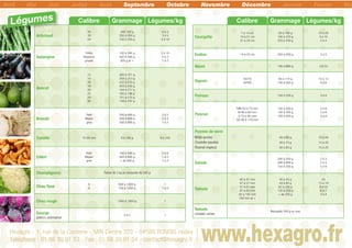 Artichaut
16
18
24
300 150 g
200 à 350 g
100 à 250 g
2 à 3
3 à 5
4 à 10
Aubergine
Petite
Moyenne
grosse
100 à 300 g
300 à 500 g
500 g et +
3 à 10
2 à 3
1 à 2
Avocat
12
14
16
18
20
22
24
26
300 à 371 g
258 à 313 g
227 à 274 g
203 à 243 g
184 à 217 g
165 à 196 g
151 à 175 g
144 à 157 g
Brocoli
Petit
Moyen
gros
200 à 400 g
450 à 600 g
550 à 800 g
2 à 5
2 à 3
1 à 2
Carotte 10-45 mm 8 à 150 g 6 à 125
Céleri
Petit
Moyen
gros
150 à 500 g
500 à 800 g
+ de 800 g
2 à 6
1 à 2
1 à 2
Champignons Panier de 3 kg ou barquette de 500 g
Chou fleur
6
8
900 à 1800 g
700 à 1200 g
1
1 à 2
Chou rouge 1300 à 1800 g 1
Courge
potiron, potimarron
2 à 5 1
Courgette
7 à 14 cm
14 à 21 cm
21 à 35 cm
50 à 100 g
100 à 225 g
225 à 450 g
10 à 20
4 à 10
2 à 4
Endive 14 à 20 cm 250 à 300 g 3 à 5
Navet 100 à 600 g 2 à 10
Oignon
50/70
60/80
90 à 110 g
150 à 200 g
10 à 12
5 à 6
Poireau 150 à 200 g 3 à 6
Poivron
MM 50 à 70 mm
M 60 à 80 mm
G 70 à 90 mm
GG 90 à 110 mm
150 à 300 g
150 à 300 g
150 à 300 g
3 à 6
3 à 6
3 à 6
Pomme de terre
Bintje (purée)
Charlotte (sautée)
Roseval (vapeur)
50 à 80 g
40 à 70 g
50 à 80 g
12 à 20
15 à 25
15 à 25
Salade
300 à 450 g
400 à 800 g
150 à 300 g
2 à 3
2 à 3
3 à 6
Tomate
40 à 47 mm
47 à 57 mm
57 à 67 mm
67 à 82 mm
82 à 102 mm
102 mm et +
30 à 40 g
44 à 82 g
82 à 155 g
135 à 230 g
+ de 230 g
25
13 à 14
9 à 10
6 à 7
3 à 4
Tomate
cocktail, cerise
Barquette 250 g ou vrac
Hexagro - 1, rue de la Corderie - MIN Centra 322 - 94586 RUNGIS cedex
Téléphone : 01 56 30 91 53 - Fax : 01 56 30 91 54 - contact@hexagro.fr www.hexagro.fr
CalibreCalibre GrammageGrammage Légumes/kgLégumes/kg
Avril Mai Juin Juillet Août Septembre Octobre Novembre Décembre Janvier Février Ma
Légumes
 