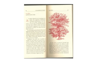 Michaël Vescoli Calendrier Celtique (Final)