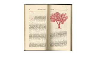 Michaël Vescoli Calendrier Celtique (Final)