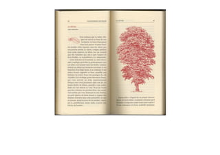 Michaël Vescoli Calendrier Celtique (Final)