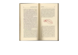 Michaël Vescoli Calendrier Celtique (Final)