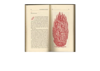 Michaël Vescoli Calendrier Celtique (Final)