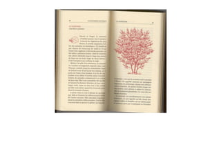 Michaël Vescoli Calendrier Celtique (Final)