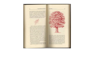 Michaël Vescoli Calendrier Celtique (Final)