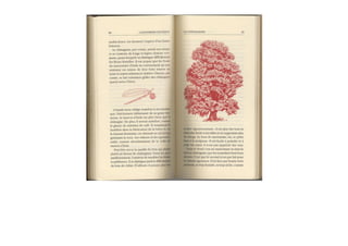 Michaël Vescoli Calendrier Celtique (Final)