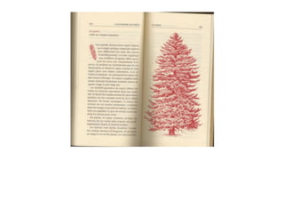 Michaël Vescoli Calendrier Celtique (Final)