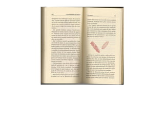 Michaël Vescoli Calendrier Celtique (Final)