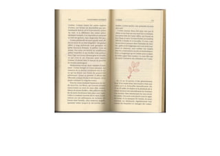 Michaël Vescoli Calendrier Celtique (Final)