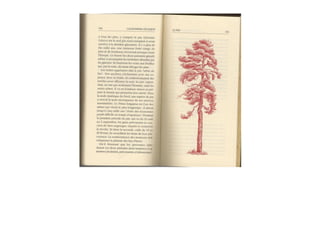 Michaël Vescoli Calendrier Celtique (Final)