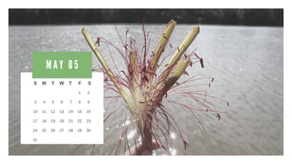 M A Y 0 5
S M T W T F S
1 2
3 4 5 6 7 8 9
10 11 12 13 14 15 16
17 18 19 20 21 22
29
23
3024
31
25 26 27 28
 