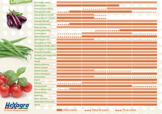 ▬Pleine saison ◢◢◢ Début de saison ◣◣◣Fin de saisonle frais Responsable
®
Légumes Ail, échalote, oignon
Artichaut blanc
Artichaut Camus/Macau ◢◢◢◢◢◢◢◢◢◢◢◢
Artichaut petit violet ◢◢◢◢◢◢ ◣◣◣◣◣◣◣◣◣◣◣◣
Asperge blanche et verte ◣◣◣◣◣◣
Asperge blanche et violette ◣◣◣◣◣◣
Aubergine allongée
Aubergine globulaire ◢◢◢◢◢◢
Betterave rouge
Carotte conservation ◢◢◢◢◢◢◢◢◢◢◢◢
Carotte primeur ◢◢◢◢◢◢◢◢◢◢◢◢ ◣◣◣◣◣◣◣◣◣◣◣◣
Céleri branche doré ◢◢◢◢◢◢◢◢◢◢◢◢
Céleri branche vert ◣◣◣◣◣◣◣◣◣◣◣◣◣◣◣◣◣◣◣◣◣◣◣◣◣◣◣◣◣◣
Champignon de Paris
Champignon Girolle cultivé
Champignon Pleurotte sauvage
Concombre long/Noa
Courgette verte longue/ronde
Courgette jaune
Fenouil
Haricot vert/beurre
Haricot à écosser
Haricot coco plat ◣◣◣◣◣◣◣◣◣◣◣◣◣◣◣◣◣◣
Herbes arômatiques
Navet primeur ◣◣◣◣◣◣◣◣◣◣◣◣◣◣◣◣◣◣◣◣◣◣◣◣◣◣◣◣◣◣
Piment
Petit pois ◢◢◢◢◢◢◢◢◢◢◢◢
Pois gourmands ◣◣◣◣◣◣◣◣◣◣◣◣
Poivron allongé/carré ◢◢◢◢◢◢
Pomme de terre
Radis long
Radis rose/rouge
Salade plein air/sous abri
Tomate
 
