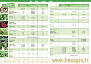 , ,
oignoignognon
à 70 mmà 70 mm50 à
80 mm60 à 80 mm
0 à 1100 à 11090 à 110 g
0 à 20150 à 200 g
10 à10 à 112
5 à5 à 6
ArtichauttichautA
blanc, Camus, Macc, Camus, MacaCamus, Macau,
PetitPetit vt violet
161
18
24242
0 à 1500300 à 150 g
00 à 35000 à 350200 à 350 g
à 20 à 250100 à 250 g
2 àà2 à 3
3 àà 55
4 à 14 à 10
Aspergeergerge
blanche et verte,anche et verte,che et v
blablanche et violetteanche et violetteb
cm et ++16 c
à 16 cmà 16 cm12
2x. 22 cmmax. 22 cm
max. 28 cm
otte 500otte 500botte 500 g,
ou 2 k1 ou 2 kg
2525 à 325 à 30
AubergineAuberginebergine
alloallongée, globulaiongée, globulairea
PetitePeP
oyenneMoyenne
grosse
0 à 3000 à 300100 à 300 g
à 50300 à 500 g
500 g et +
3 à3 à 110
22 à 3
1 à 2
Betteravetteraverav 0 à 6000 à 600100 à 600 g 2 à2 à 110
CararotteC
conservation, primervation, primeuervation, primeur
45 mmm10-45 mm à 15008 à 150 g 6 à6 à 125
Céleri branchCéleri brancéleri brancheC
vert, ddodoré
Petit
oyenMoyen
grosg
150 à 500 g
500 à 800 g
de 8000+ de 800 g
2 à 6
1 à 2
1 àà 2à 2
ChampignonChampignonsonshampignoC Panier de 3 kg ou barquette de 500 g
Concombrencombcom
lonongg, Noal
3/4
4/54/54
5/6
00 à 4000 à 400300 à 400 g
0 à 500400 à 500 g
500 à 600 g
3 àà 44
2 à2 à 3
1 à 2
Courgetteurgett
verte, longue, ronerte, longue, rondende,e, longue,
jaununnej
à 14 cmà 14 cm7 à
21à 21 cm14 à 21 cm
21 à 30 cm
0 à 1000 à 100 g50 à 100 g
0 à 225100 à 225 g
225 à 450 g
10 à10 à 220
4 à4 à 10
2 à 4
Fenouilnouil 20 à 24020 à 240220 à 240 g 4 àà 55
Hararricot
vert,
beurreurre,
à éécoosser,
cococoo plat
Très ﬁnTr
Fin
MoyenMoy
ètre < de 6 mmDiamètre < de 6Diamètre < de 6 mm
Diamètre de 6 à 9 mmDiamètre de 6 à 9 mmamètre de 6 à 9 mm
Diamètre de 9 à 12 mmDiamètre de 9 à 12 mm
Herbe aromatiHerbe aromatiqHerbe aromatique e, botte, pot avec ou sans réservee, botte, pot avec ou sans réserveBarquette, botte, pot avec ou sans réserve d’eau
aNavet 100 à 600 g 2 à 10
Piment De 4 à 15 cm De 30 à 100 g 10 à 30
PPetitPetit pois 157 à 15 g 100 c75 à 100 cosses
Pois gourmans gourmanPois gourmands 7 à 15 g 0075 à 100 cosses
Poivron
allonallongallongé, carré
MM 50 à 70 mm
M 60 à 80 mm
0 mG 70 à 90 mm
0GG 90 à 110 mm
150 à 300 g
150 à 300 g
30300150 à 300 g
3 à 6
3 à 6
3 à 63 à 6
Pomme de temme de terPomme de terre
BintjeBintje (purée)
Charlotte (sautée)
Roseval (vapeur)
8050 à 80 g
40 à 70 g
50 à 80 g
2 à 212 à 20
15 à 25
15 à 25
Radis long 200 à 300 g 3 à 5
RaddiRadis
rose,rose, rouge
nés eConditionnés enConditionnés en botte
30 papa25 à 30 par botte
4 ra4 rad2 à 4 radis/kg
SalaadSalade
300 à 450 g
à 8000400 à 800 g
à 30à 300150 à 300 g
2 à 3
2 à 332 à 3
3 à3 à 66
TomTomaTomate
allongée, ronde,allongée, ronde,
grappe
40 à 47 mm
7 mmm47 à 57 mm
7 mm7 mm57 à 67 mm
67 à 82 mm
82 à 102 mm
et +102 mm et +
30 à 40 g
à 82 gg44 à 82 g
à 155à 155 g82 à 155 g
23135 à 230 g
+ de 230 g
25
13 à 11413 à 14
9 à 19 à 109 à 10
6 à6 à 7
3 à 4
TomaTomate
cocktail, cerise
Barquette 250 g ou vrac
xagro - 1, rue de la Corderie - MIN Cee la Corderie - MIN Centra 322 - 94586 RUNGIS cedMIN Centra 322 - 94586 RUNGIS cedexderie -la Co, rue drue dgro -gro -xHex
Téléphone : 01 56 30 91 53 - Fax : 01 56 30 91 54 - contact@hexagr30 91 53 - Fax : 01 56 30 91 54 - contact@hexagro: 01 56 30 91 54 - contact@hexagro.fr3 - Fa0 9101 56honeTél www.hexagro.fr
Calibre Grammage Légumes/kg
Janvier Février Mars Avril Mai Juin Juillet Août Septembre Octobre Novembre Décembre
Ail, échalote,échécha
Légumes Calibre Grammage Légumes/kg
 