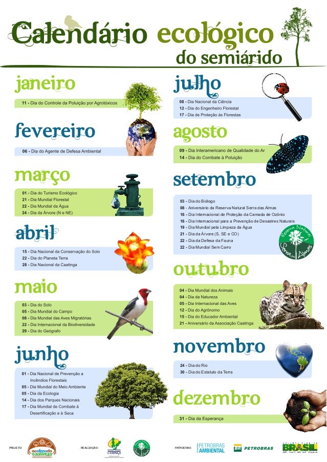 Calendario ecológico para imprimir: ¡Organiza y cuida el planeta!