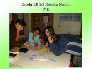 Escola EB 2/3 Nicolau Nasoni
            6º D
 