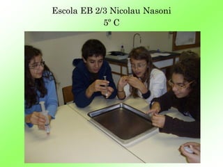 Escola EB 2/3 Nicolau Nasoni
            5º C
 
