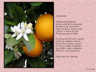A laranjeira Perfumada laranjeira, Linda assim dessa maneira, Sorrindo à luz do arrebol, Toda em flores, branca toda - Parece a noiva do Sol Preparada para a boda. E esposa do Sol, que a adora, Com que cuidados divinos Curva ela os ramos, agora! E entre as folhas abrigados, Seus filhos, frutos dourados, Parecem sois pequeninos. Júlia Lopes de Almeida 27 de julho 