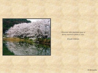Árvores são poemas que aterra escreve para o céu.Khalil Gibran 10 de junho