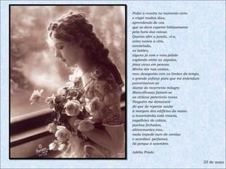 Podei a roseira no momento certo e viajei muitos dias, aprendendo de vez que se deve esperar biblicamente pela hora das coisas. Quanto abri a janela, vi-a, como nunca a vira, constelada, os botões, alguns já com o rosa-pálido espiando entre as sépalas,  jóias vivas em pencas. Minha dor nas costas, meu desaponto com os limites do tempo, o grande esforço para que me entendam pulverizaram-se diante do recorrente milagre. Maravilhosas faziam-se  as cíclicas perecíveis rosas. Ninguém me demoverá  do que de repente soube à margem dos edifícios da razão: a misericórdia está intacta, vagalhões de cobiça, punhos fechados, altissonantes iras, nada impede ouro de corolas e acreditai: perfumes. Só porque é setembro. Adélia Prado 25 de maio 