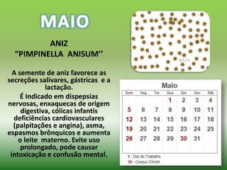 ANIZ
  “PIMPINELLA ANISUM’’

  A semente de aniz favorece as
secreções salivares, gástricas e a
             lactação.
     É Indicado em dispepsias
nervosas, enxaquecas de origem
     digestiva, cólicas infantis
  deficiências cardiovasculares
  (palpitações e angina), asma,
espasmos brônquicos e aumenta
    o leite materno. Evite uso
     prolongado, pode causar
 intoxicação e confusão mental.
 
