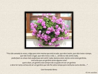02 de outubro
“Fico tão cansada às vezes, e digo para mim mesma que está errado, que não é assim, que não é este o tempo,
que não é este o lugar, que não é esta a vida. (…)então eu não sentia nada,
podia fazer as coisas mais audaciosas sem sentir nada, bastava estar atenta como estes gerânios,
você acha que um gerânio sente alguma coisa?
quero dizer, um gerânio está sempre tão ocupado em ser um gerânio
e deve ter tanta certeza de ser um gerânio que não lhe sobra tempo para nenhuma outra dúvida…”
Caio Fernando Abreu
 