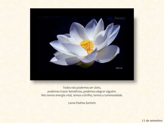 Todos nós podemos ser úteis, podemos trazer benefícios, podemos alegrar alguém. Nós temos energia vital, temos o brilho, temos a luminosidade.Lama Padma Santem11 de setembro