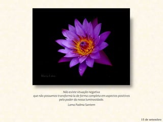 Não existe situação negativa que não possamos transformá-la de forma completa em aspectos positivos pelo poder da nossa luminosidade.Lama Padma Santem15 de setembro