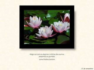Alegre-se com as alegrias e vitórias dos outros, pequenas ou grandes.Lama Padma Santem17 de setembro