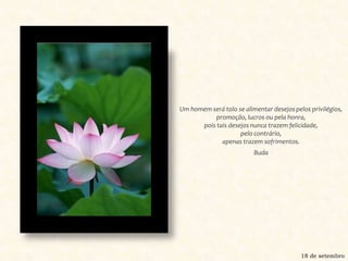 Um homem será tolo se alimentar desejos pelos privilégios, promoção, lucros ou pela honra, pois tais desejos nunca trazem felicidade, pelo contrário, apenas trazem sofrimentos.Buda18 de setembro