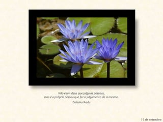 Não é um deus que julga as pessoas, mas é a própria pessoa que faz o julgamento de si mesmo.Daisaku Ikeda19 de setembro