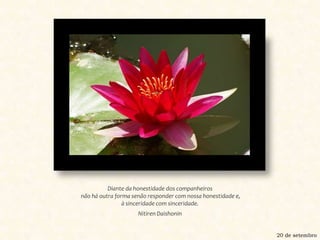 Diante da honestidade dos companheiros não há outra forma senão responder com nossa honestidade e, à sinceridade com sinceridade. Nitiren Daishonin20 de setembro