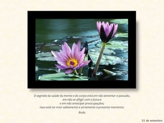 O segredo da saúde da mente e do corpo está em não lamentar o passado, em não se afligir com o futuro e em não antecipar preocupações; mas está no viver sabiamente e seriamente o presente momento.Buda21 de setembro