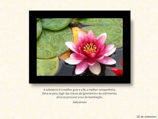 A sabedoria é o melhor guia e a fé, a melhor companheira. Deve-se pois, fugir das trevas da ignorância e do sofrimento, deve-se procurar a luz da Iluminação.Sakyamuni22 de setembro