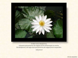 O ódio nunca desaparece, enquanto pensamentos de mágoas forem alimentados na mente. Ele desaparece, tão logo esses pensamentos de mágoa forem esquecidos. Sakyamuni23 de setembro