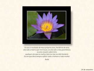 Eu sou o resultado de meus próprios atos, herdeiros de atos; atos são a matriz que me trouxe, os atos são o meu parentesco; os atos recaem sobre mim; qualquer ato que eu realize, bom ou mal, eu dele herdarei. Eis em que deve sempre refletir todo o homem e toda mulher.Buda24 de setembro