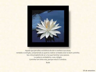 Aquele que percebe a existência da dor e conhece sua causa, remédio e extinção, compreende as quatros nobres verdades está no bom caminho. Seu reto propósito de ser a luz que iluminar seus passos, e a palavra verdadeira, o seu refúgio. Caminhar em linha reta, porque reta é a conduta.Buda25 de setembro