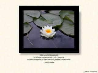 Só o construído adoece.Só o impermanente nasce, vive e morre.O caminho espiritual é encontrar a presença incessante.Lama Santem04 de setembro