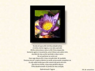 No dia em que a flor de lótus desabrochouA minha mente vagava, e eu não a percebi.Minha cesta estava vazia e a flor ficou esquecida.Somente agora e novamente, uma tristeza caiu sobre mim.Acordei do meu sonho sentindo o doce rastroDe um perfume no vento sul.Essa vaga doçura fez o meu coração doer de saudade.Pareceu-me ser o sopro ardente no verão, procurando completar-se.Eu não sabia então que a flor estava tão perto de mimQue ela era minha, e que essa perfeita doçuraTinha desabrochado no fundo do meu coração.Rabindranath Tagore06 de setembro