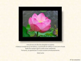 Uma árvore em flor fica despida no outono. A beleza transforma-se em feiúra, a juventude em velhice e o erro em virtude. Nada fica sempre igual e nada existe realmente. Portanto, as aparências e o vazio existem simultaneamente.Dalai Lama07 de setembro